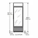 True Mfg. GDM-19T-F-HC~TSL01 – Freezer Merchandiser