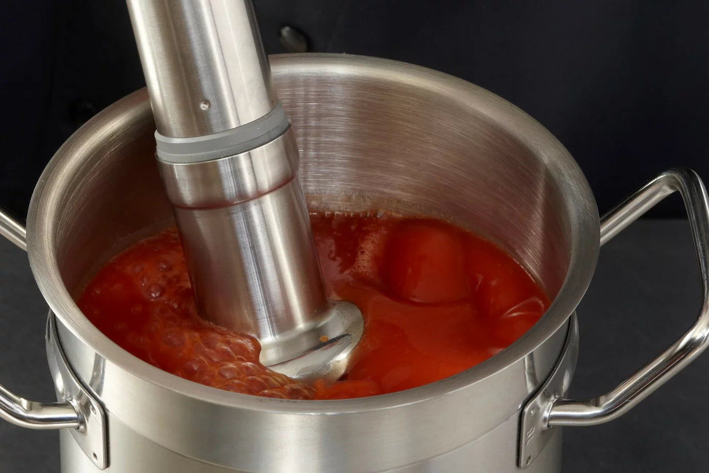 Robot Coupe CMP250COMBI – Immersion Hand Mixer